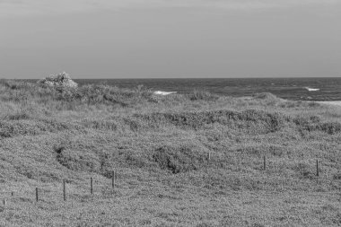 Fransız Normandiya ceketinde.