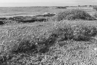 Fransız Normandiya ceketinde.