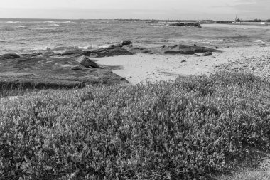 Fransız Normandiya ceketinde.