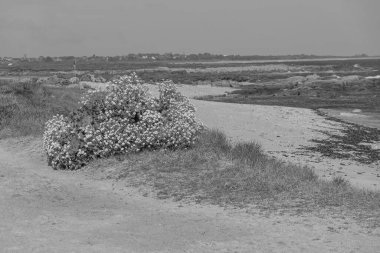 Fransız Normandiya ceketinde.