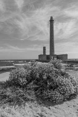 Fransız Normandiya ceketinde.