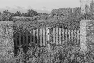 Fransız Normandiya ceketinde.