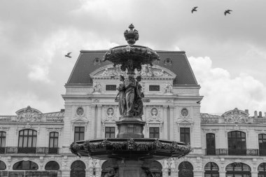 Fransız Normandiya 'sında Cherbourg şehri.