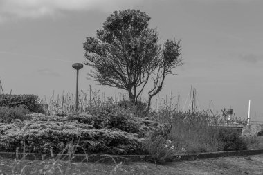 Fransız Normandiya 'sında Cherbourg şehri.