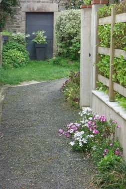 Fransız Normandiya 'sında Cherbourg şehri.