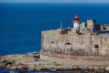 Bisküvi 'de gezinti 