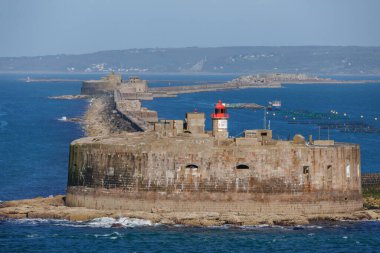 Bisküvi 'de gezinti 