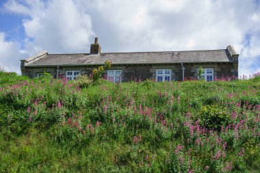 Falmouth ve St. Mawes Cornawall 'da
