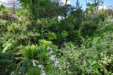 Falmouth ve St. Mawes Cornawall 'da