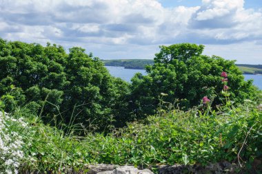 Falmouth ve St. Mawes Cornawall 'da