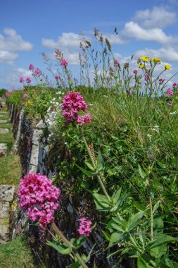 Falmouth ve St. Mawes Cornawall 'da