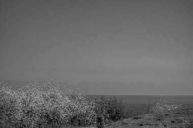 İspanya 'daki Gijon şehri.