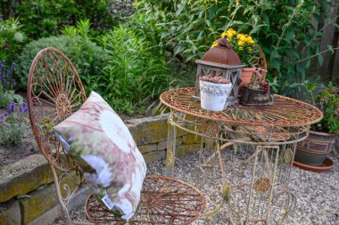 Alman Muensterland 'inde yaz mevsimi