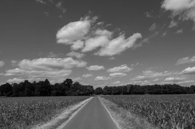 Alman muensterland yaz aylarında