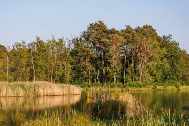 Alman muensterland yaz aylarında