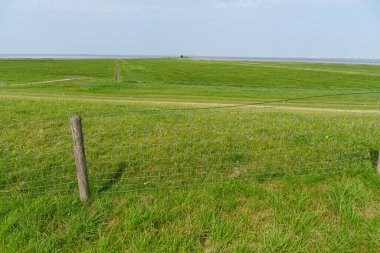 Almanya 'daki EM Nehri' nde Ditzum.