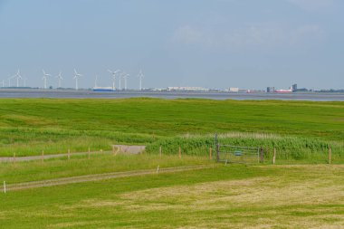 Almanya 'daki EM Nehri' nde Ditzum.