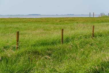 Almanya 'daki EM Nehri' nde Ditzum.
