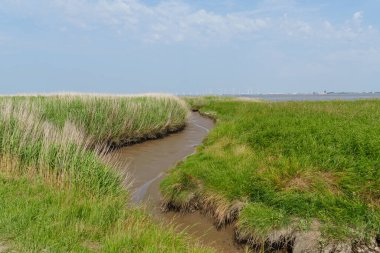 Almanya 'daki EM Nehri' nde Ditzum.