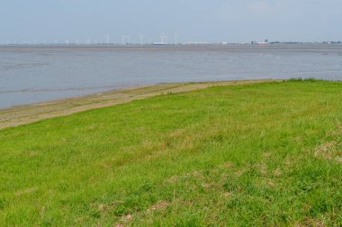 Almanya 'daki EM Nehri' nde Ditzum.