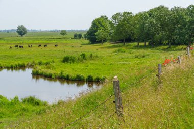 Almanya 'daki EM Nehri' nde Ditzum.