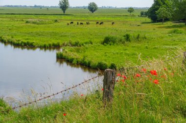 Almanya 'daki EM Nehri' nde Ditzum.