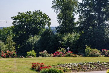Yaz zamanı Almanya 'da gül bahçesi