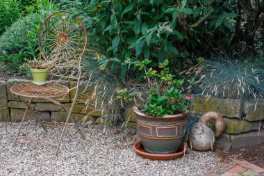 Westphalia 'da Borken yakınlarında yaz mevsimi