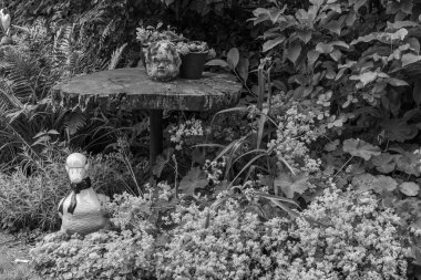 Westphalia 'da Borken yakınlarında yaz mevsimi