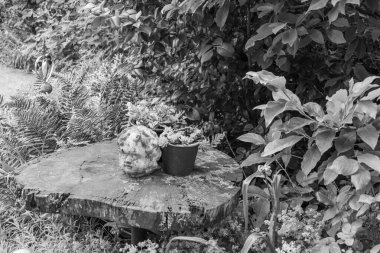 Westphalia 'da Borken yakınlarında yaz mevsimi