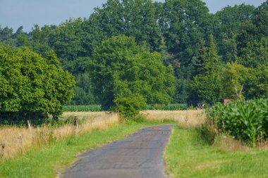 Westphalia 'da yaz sabahı