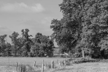 Westphalia 'da yaz sabahı