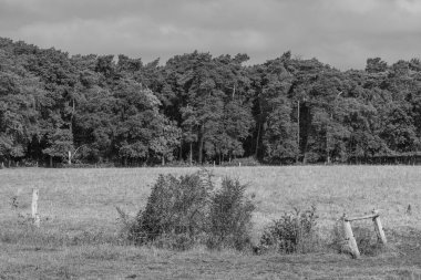 Westphalia 'da yaz sabahı