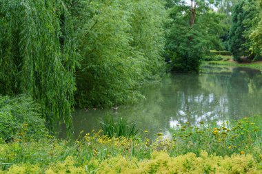 Almanya 'nın Eineck şehrinde