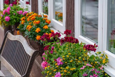 Almanya 'nın Eineck şehrinde