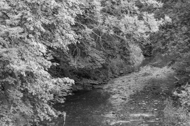 Almanya 'nın Eineck şehrinde