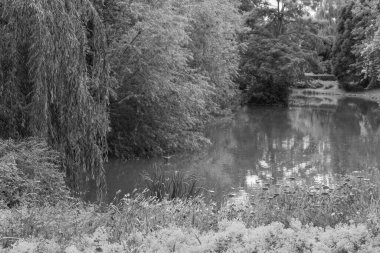 Alman harzındaki eski Einbeck şehri.