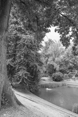 Alman harzındaki eski Einbeck şehri.