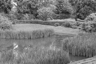 Alman harzındaki eski Einbeck şehri.