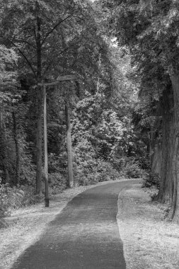 Alman harzındaki eski Einbeck şehri.