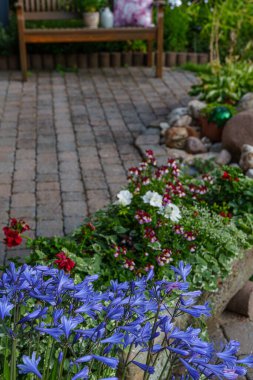 Alman Muensterland 'inde yaz akşamı