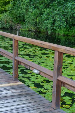 Almanya 'da Potsdam şehri ve çevresi