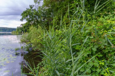 Almanya 'da Potsdam şehri ve çevresi