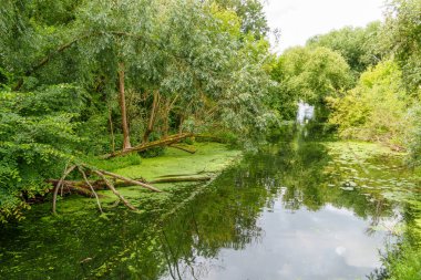 Almanya 'da Potsdam şehri ve çevresi