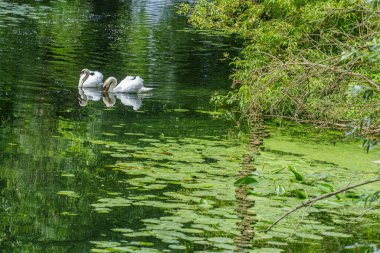 Almanya 'da Potsdam şehri ve çevresi