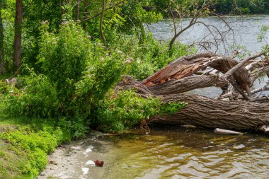 Almanya 'da Potsdam şehri ve çevresi