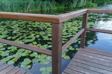 Almanya 'da Potsdam şehri ve çevresi