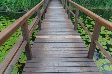 Almanya 'da Potsdam şehri ve çevresi