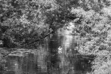 Almanya 'da Potsdam şehri ve çevresi
