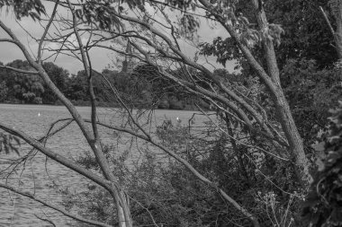 Almanya 'da Potsdam şehri ve çevresi